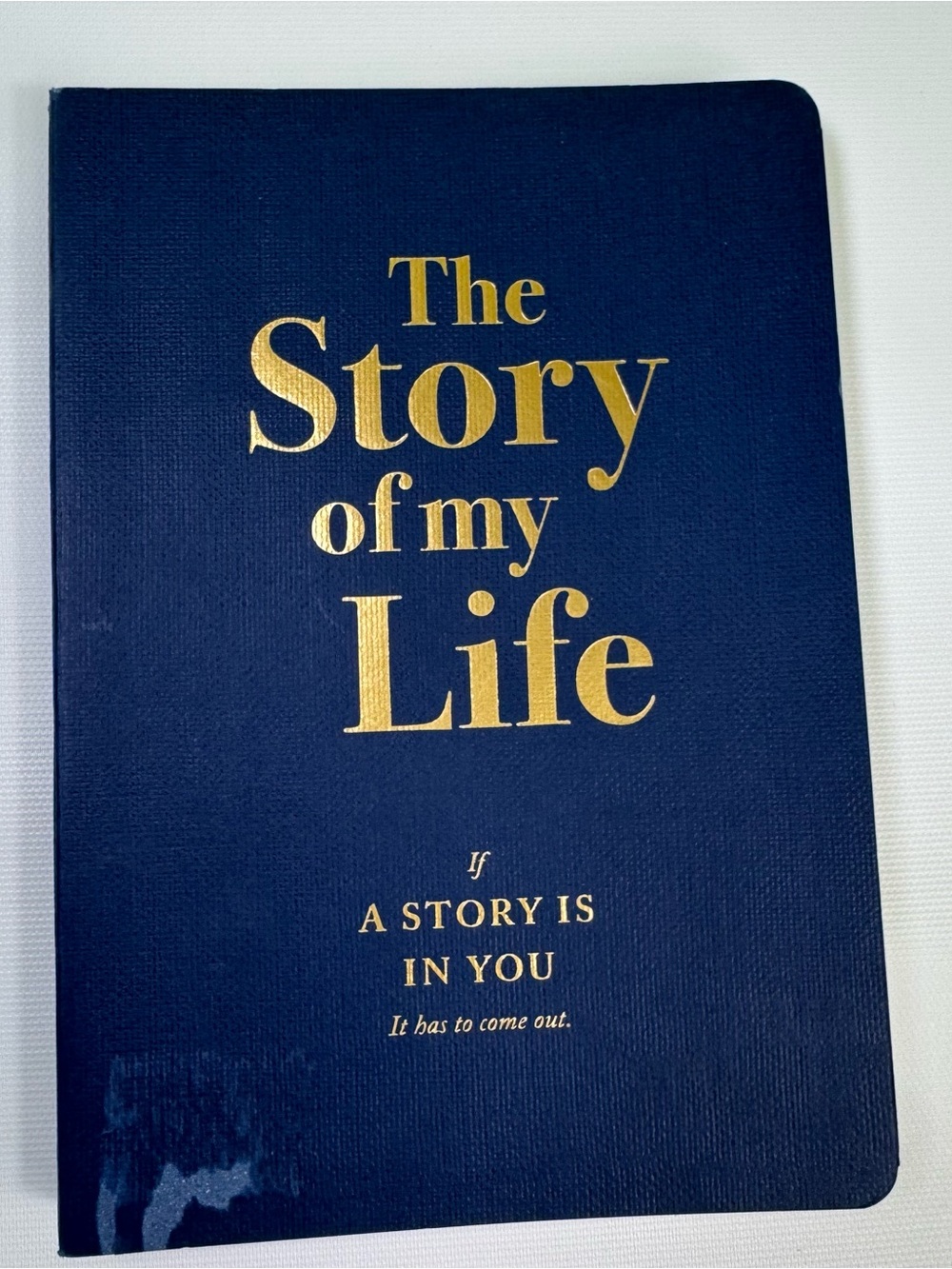 Piccadilly The Story of My Life Guided Memory Journal Autobiography Writing Prom